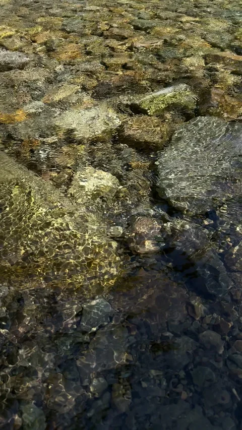 Wild mountain river flowing through stone boulders Stock Footage 316525851
