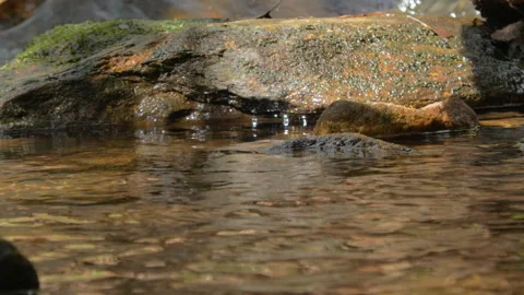 Wild mountain river flowing through stone boulders. Slow motion Mountain ri.. Video stock 330884714