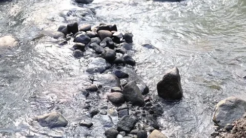 The wild mountain river flows between the rocks, the clear water of the river Stock Footage 338423841