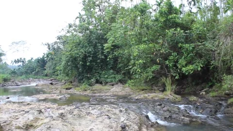 Wild mountain river flows through large rocks. Abundant clear water flow. Stock Footage 277286186