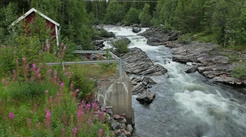 Wild mountain river Stock Footage 43151535