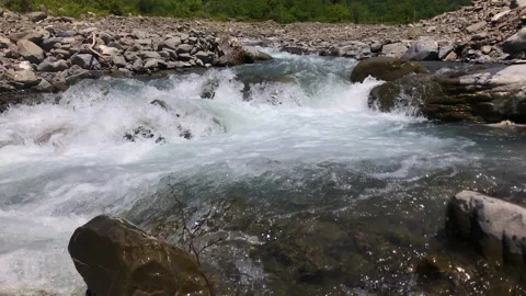 Wild Mountain River Stock Footage 197105304