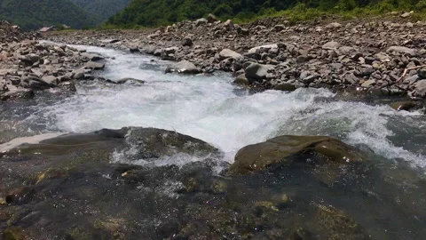 Wild Mountain River with Green Forest and River Stones Stock Footage 197105301