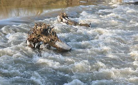 Wild mountain river  Foto stock