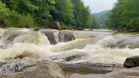 Wild mountain river running through stone rapids in carpathians in slow motion Stock Footage 252648875