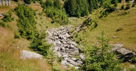 Wild mountain river running through stone rapids in carpathians in slow motio Stock Photos