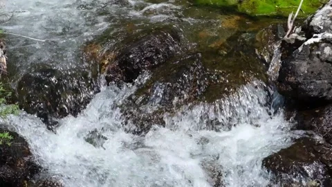 Wild mountain river. A stream with clear clear water and boulders close-up. Slow Stock-Footage 157853485