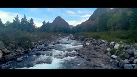 Wild Mountain River Stream In Patagonia Vidéo 345660550