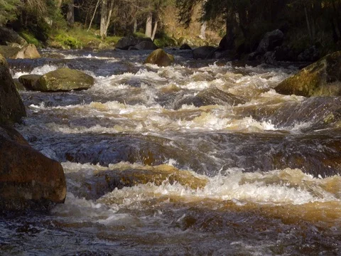 Wild mountain river in sunlight Stock-Footage 81196092