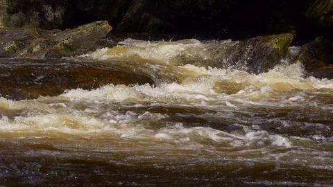 Wild mountain river in sunlight Stock-Footage 81196444