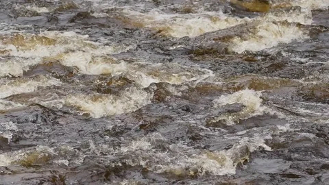 Wild mountain river in sunlight Stock-Footage 81196767