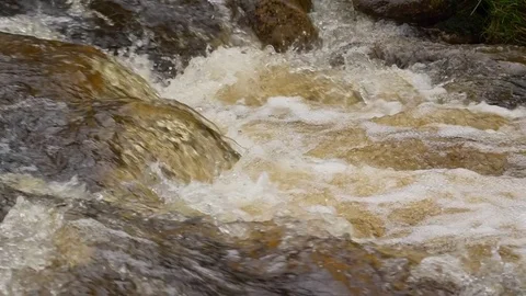 Wild mountain river in sunlight Stock-Footage 81196828