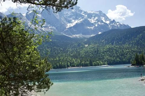 Wild Mountain River Through Forest Wilderness Landscape Foto stock