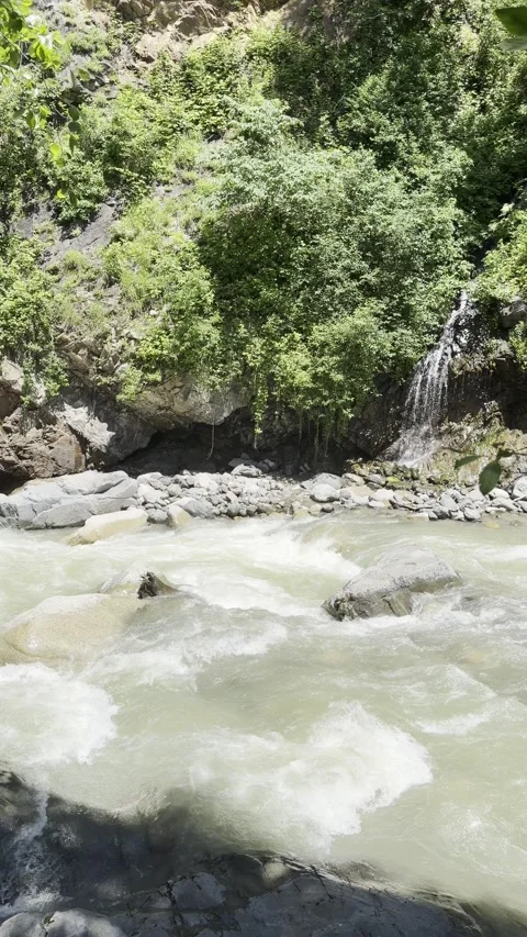 Wild Mountain River White Water Rapids Rocky Shore Small Waterfall Adjara Georgi 스톡 동영상 337549169