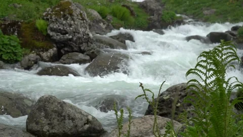 Wild mountain riverclose up Stock Footage 219511141