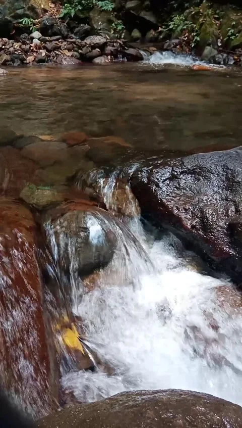 Wild mountain rivers flowing through boulders and clear water rushing Video stock 292065734