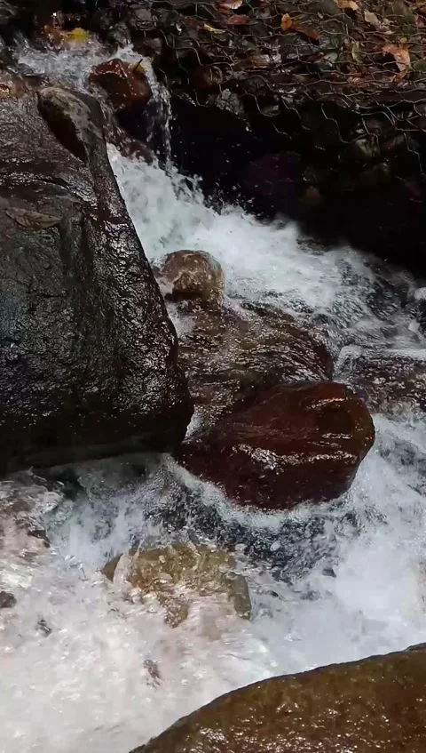 Wild mountain rivers flowing through boulders and clear water rushing Video stock 292065739