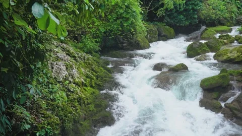 Wild Mountain Stream and Waterfall Flowing Through a Deep Forest Valley Stock Footage 341874068