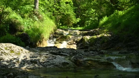 A wild mountain stream cascades over rocks 스톡 동영상 211471218