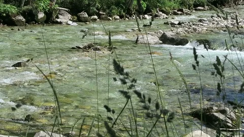 Wild mountain stream flowing through Gerlostal valley in Tirol Austria. Video stock 114118822