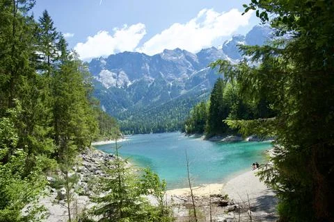 Wild Mountain Stream Flowing Through Forest Landscape Under Blue Sky Photos