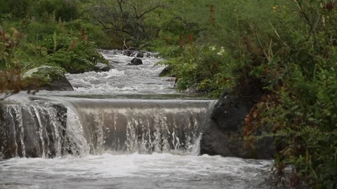 Wild mountain stream. Landscape. Cascade. Vídeos de archivo 119996058