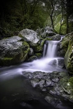 Wild mountain stream over limestone rocks Stock Photos