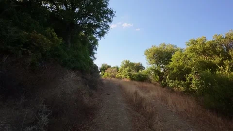 Wild mountain trail with dense vegetation and rocky terrain in Greece Vídeo Stock 321533368