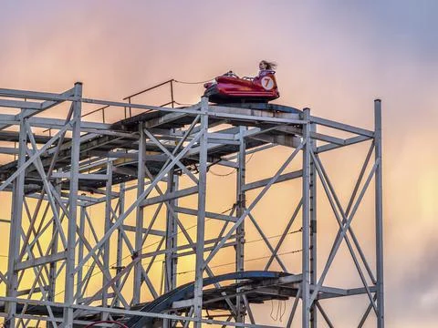 Wild mouse Stock Photos