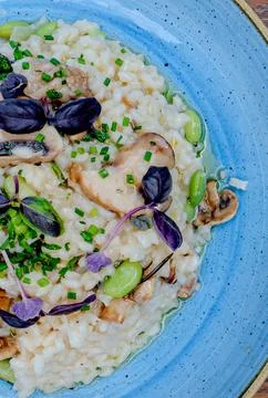 Wild mushroom risotto (vg) Stock Photos