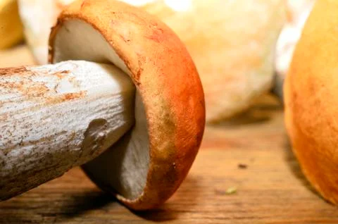 Wild mushroom on the table Stock Photos
