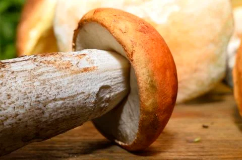 Wild mushroom on the table Stock Photos