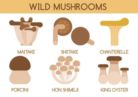 Wild mushrooms vector Stock Illustration