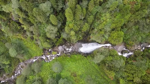 Wild Nature Stock-Footage 333133589