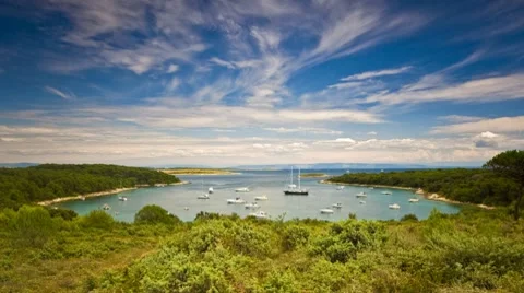 Wild nature marina Video stock 7974989