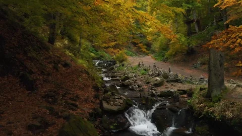 Wild Nature. Mountain River In A Forest. National Park. Ukraine Stock Footage 105480050