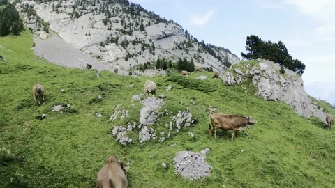 Wild Nature Mountain Train 4k Stock Footage 196309296