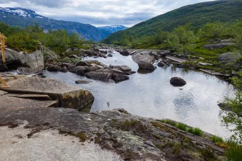 Wild nature 스톡 사진