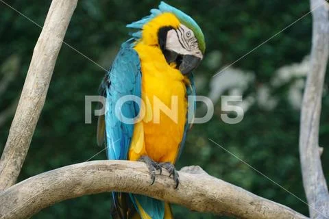 Wild nature. Stock Photos