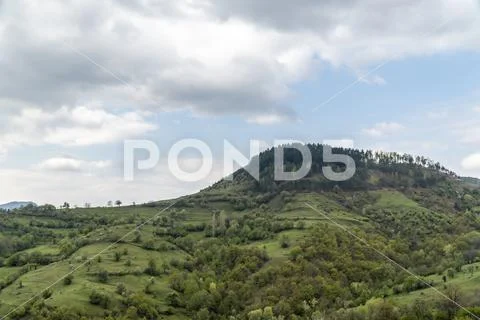 The wild nature of Rhodope mountain in Bulgaria Stock Photos