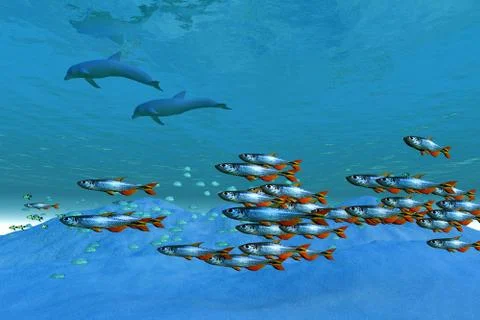 Wild ocean Stock Illustration