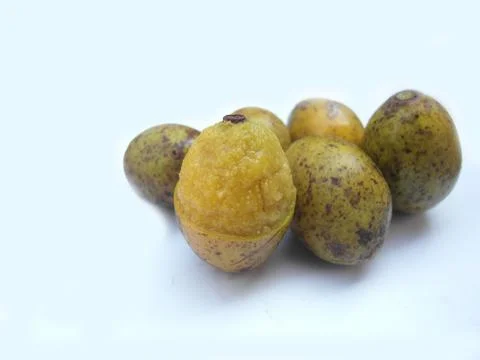 Wild olive 写真素材