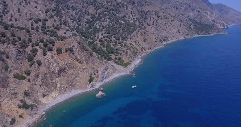 Wild olive trees field properties by the sea Stock Footage 93396728