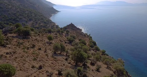 Wild olive trees property by the sea, descending Stock Footage 93389554