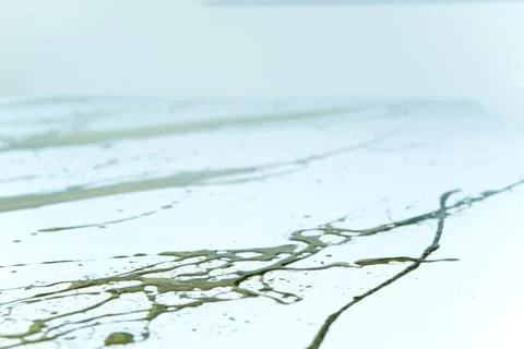Wild paint on a canvas Stock Photos