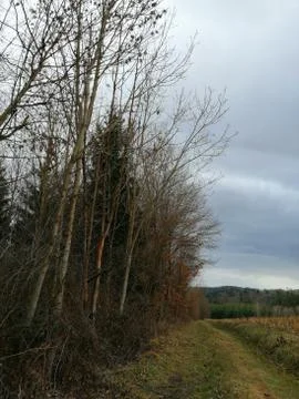 On the wild-path return Stock Photos