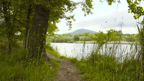 Wild Path by the River Stock Footage 252037940