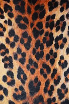 Wild pattern Foto stock
