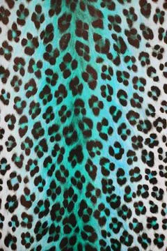 Wild pattern 스톡 사진