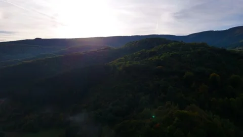 Wild Peace Stock Footage 307369843